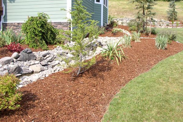 Beauty Bark Medical Lake WA 